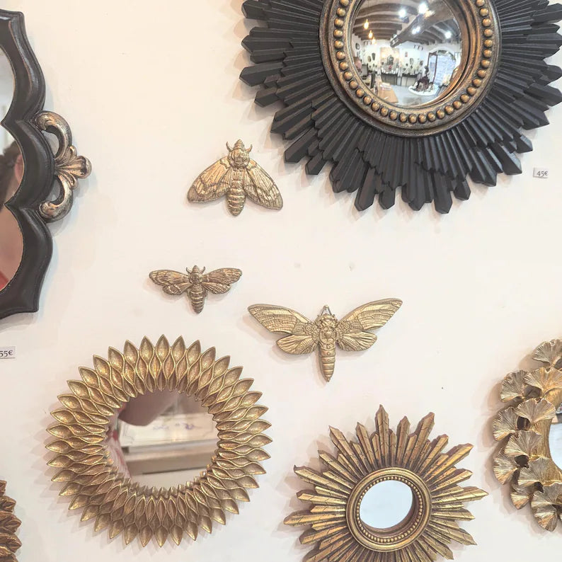 mur de curiosité avec miroir convexe et decoration murale cigale