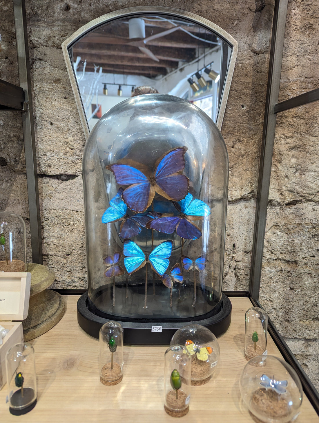 Du cabinet de curiosité au bijou — l'origine de Victorian Rehab