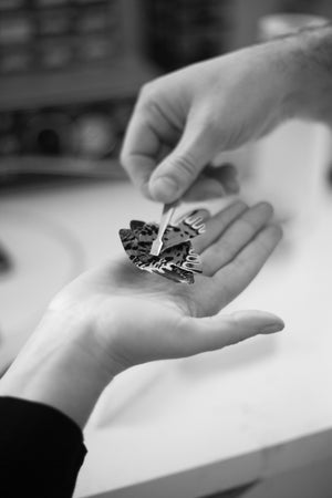Bijoux en véritables ailes de papillon, cigale et libellule : entre art et nature