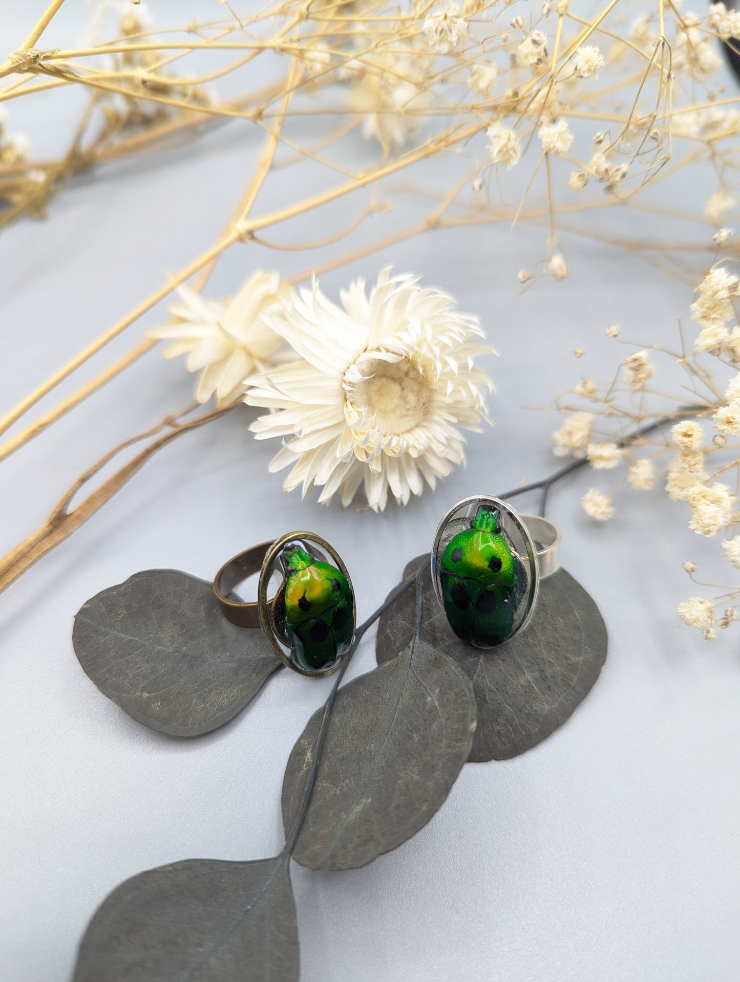 Détail bague Khépri – élytre iridescent & laiton argenté | Victorian Rehab