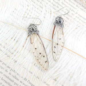 Boucles d'oreille art nouveau  ailes de cigales veritable bijoux féérique cabinet de curiosité