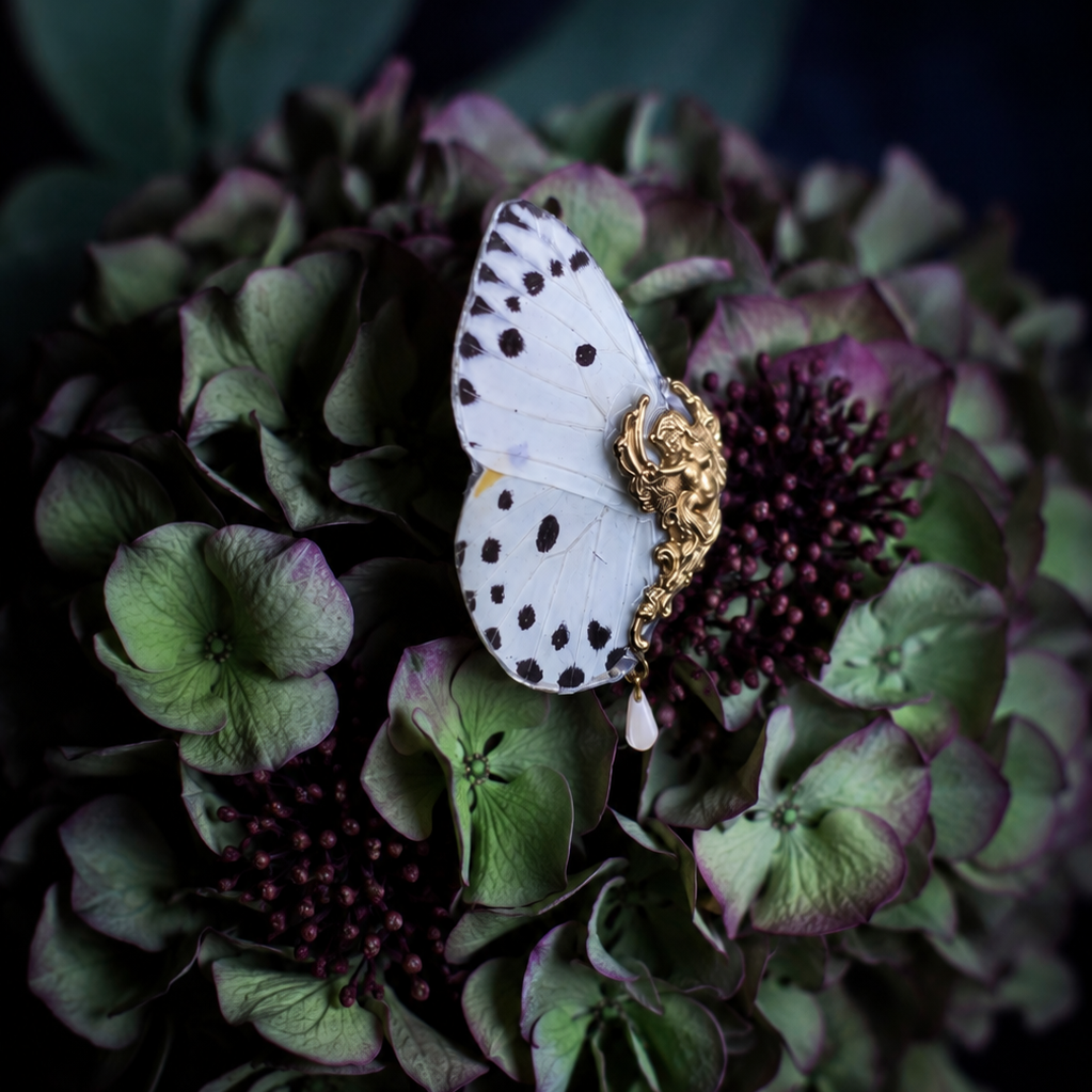 Détail broche papillon Calypso blanc – aile de papillon estampe laiton Victorian Rehab