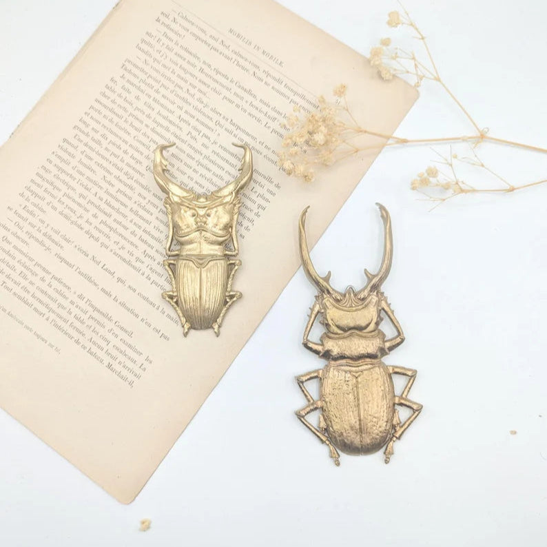Photo de deux scarabées en métal doré, de style antique, posés sur un livre ouvert dont on peut voir le texte manuscrit en français. Des fleurs séchées sont posées à côté.