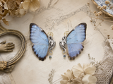 Boucles d'oreille Sphynx Morpho Portis portées – papillon bleu nacré Victorian Rehab