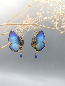 boucle oreille veritable aile de papillon arhopala bleu creation unique victorian rehab