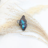 //SOLDES// Broche papillon cherubina