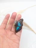 //SOLDES// Broche papillon cherubina