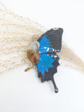//SOLDES// Broche papillon Ulysses