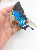 //SOLDES// Broche papillon Ulysses