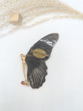 //SOLDES// Broche papillon noir et rouge
