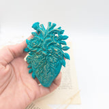 Coeur anatomique vert fluo-  moyen modèle