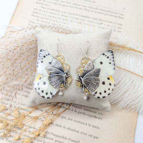 boucles d'oreille aile de papillon veritable belenois calypso version argenté