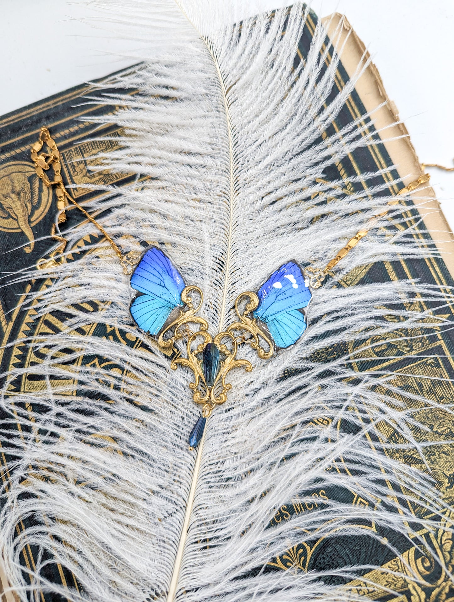 Collier bijou entomologique Mucha Arhopala bleu – Victorian Rehab
