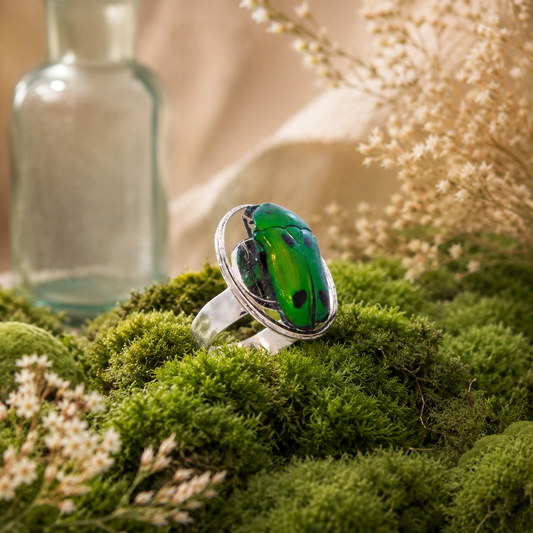 Bague Khépri – véritable scarabée vert, monture argentée | Victorian Rehab