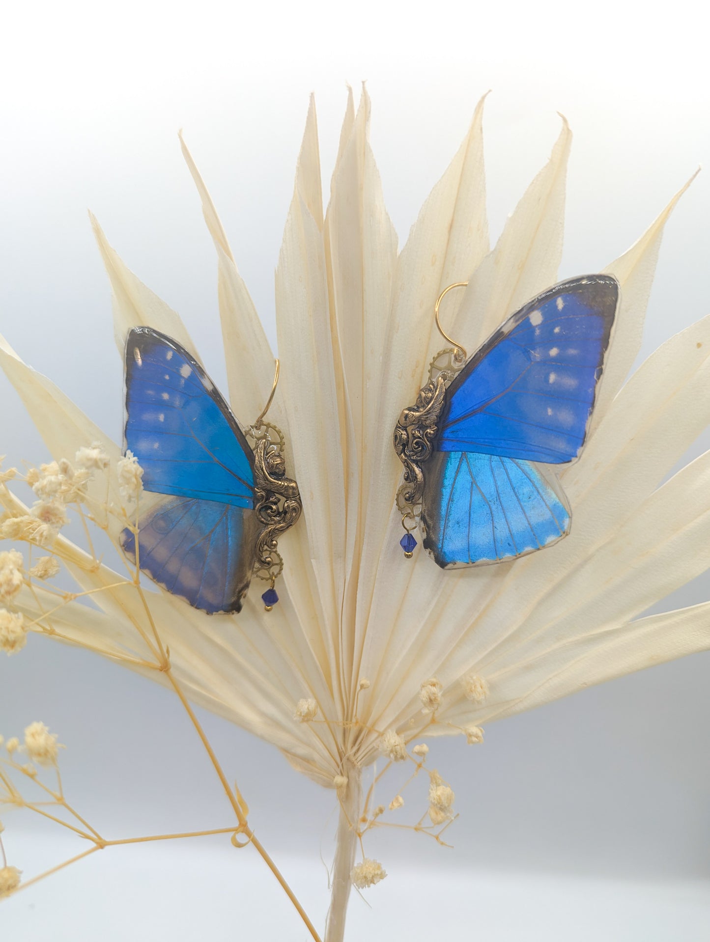 Vue de face boucles Sphynx Morpho Zephyritis – laiton argenté aile papillon bleu Victorian Rehab