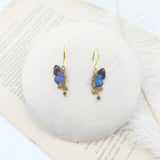 Boucles d'oreille Naturalia Bocchus – véritable aile de papillon Jamides Bocchus bleu irisé | Victorian Rehab