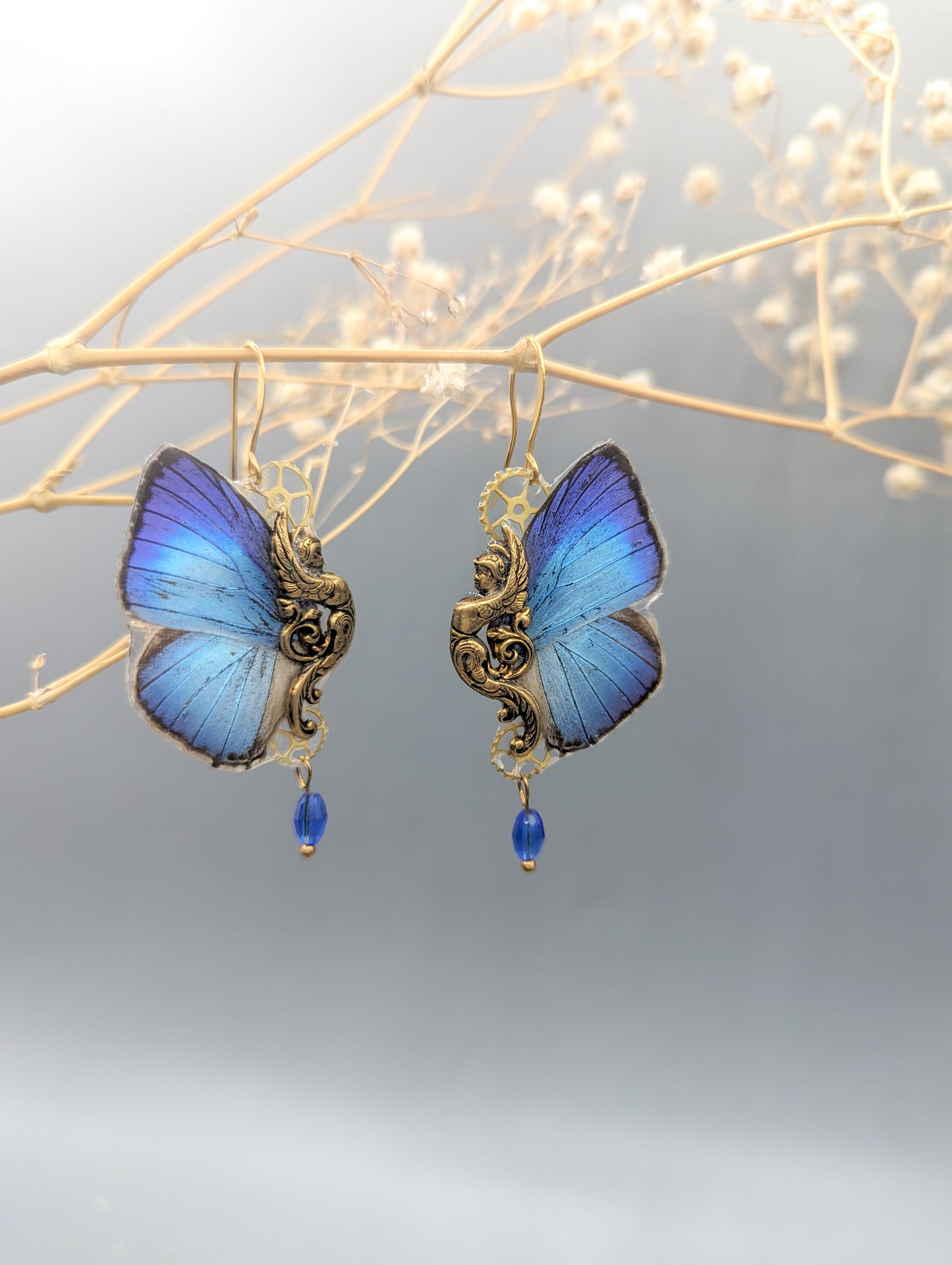 Bijou cabinet de curiosités boucles Sphynx Arhopala bleu argenté – Victorian Rehab