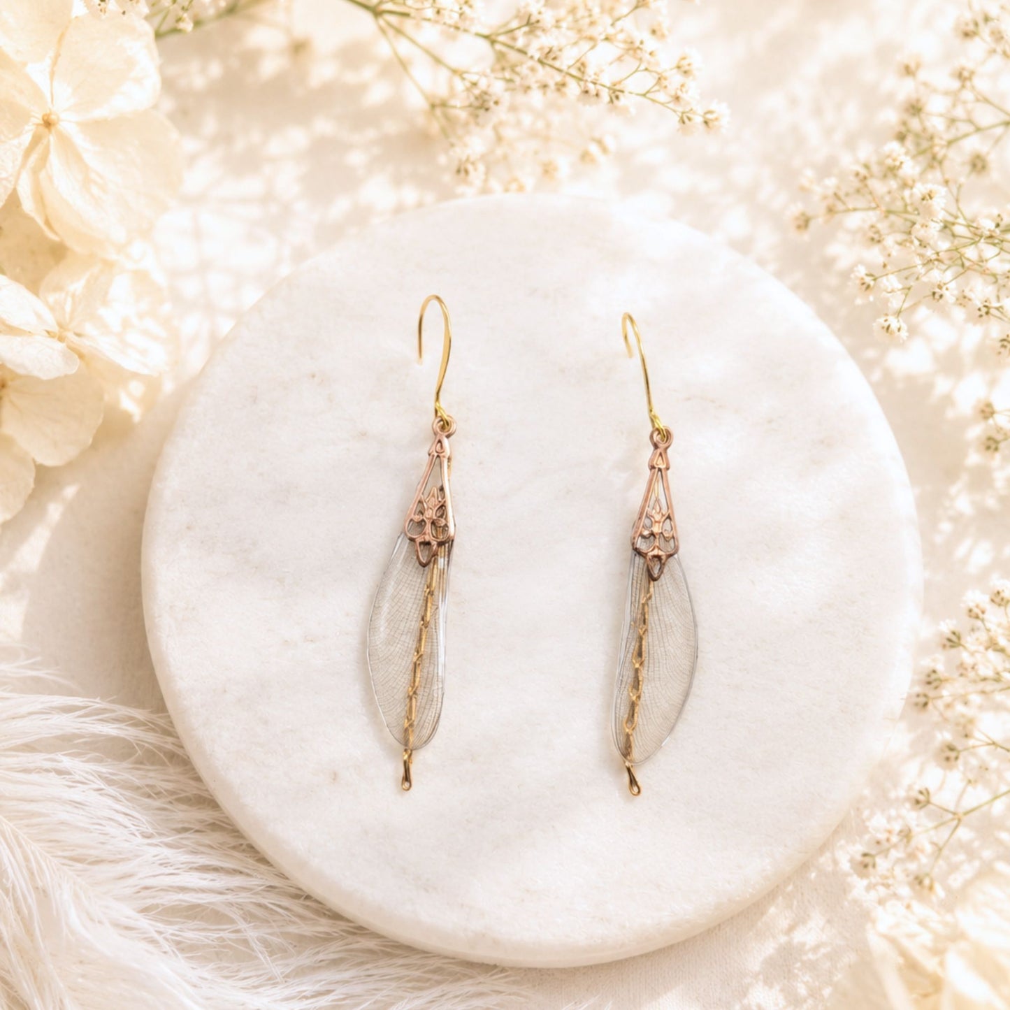 Boucles Méandres libellule transparente vue ensemble – cabinet de curiosité Art Nouveau Victorian Rehab