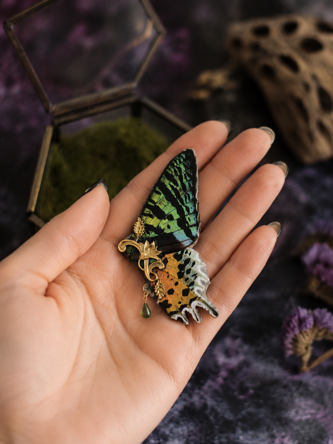 Détail broche papillon Sunset Moth – aile de papillon Urania Ripheus Victorian Rehab