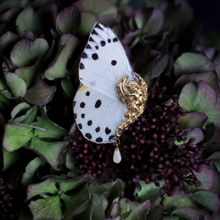 Broche Faerie papillon Calypso blanc nacré – bijou Art Nouveau fait main Victorian Rehab