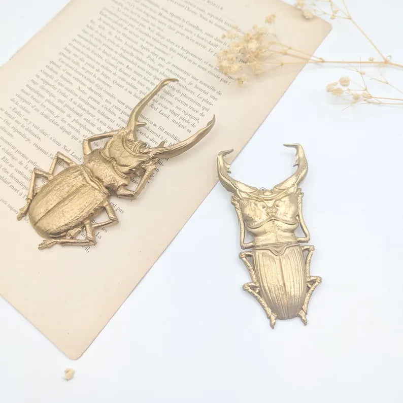 Photo de deux scarabées en métal doré, de style antique, posés sur un livre ouvert dont on peut voir le texte manuscrit en français. Des fleurs séchées sont posées à côté.