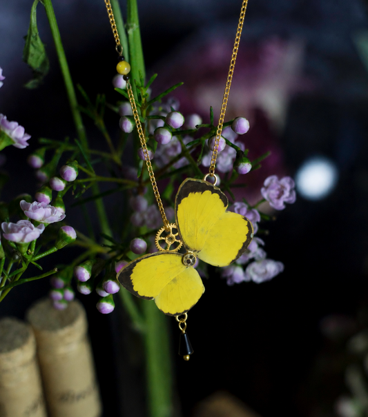 Collier Psyché Eurema Hécabé jaune et noir – bijou Art Nouveau Victorian Rehab