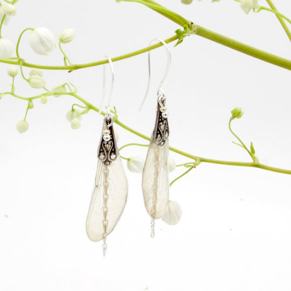 Meandres earrings - transparent silver dragonfly