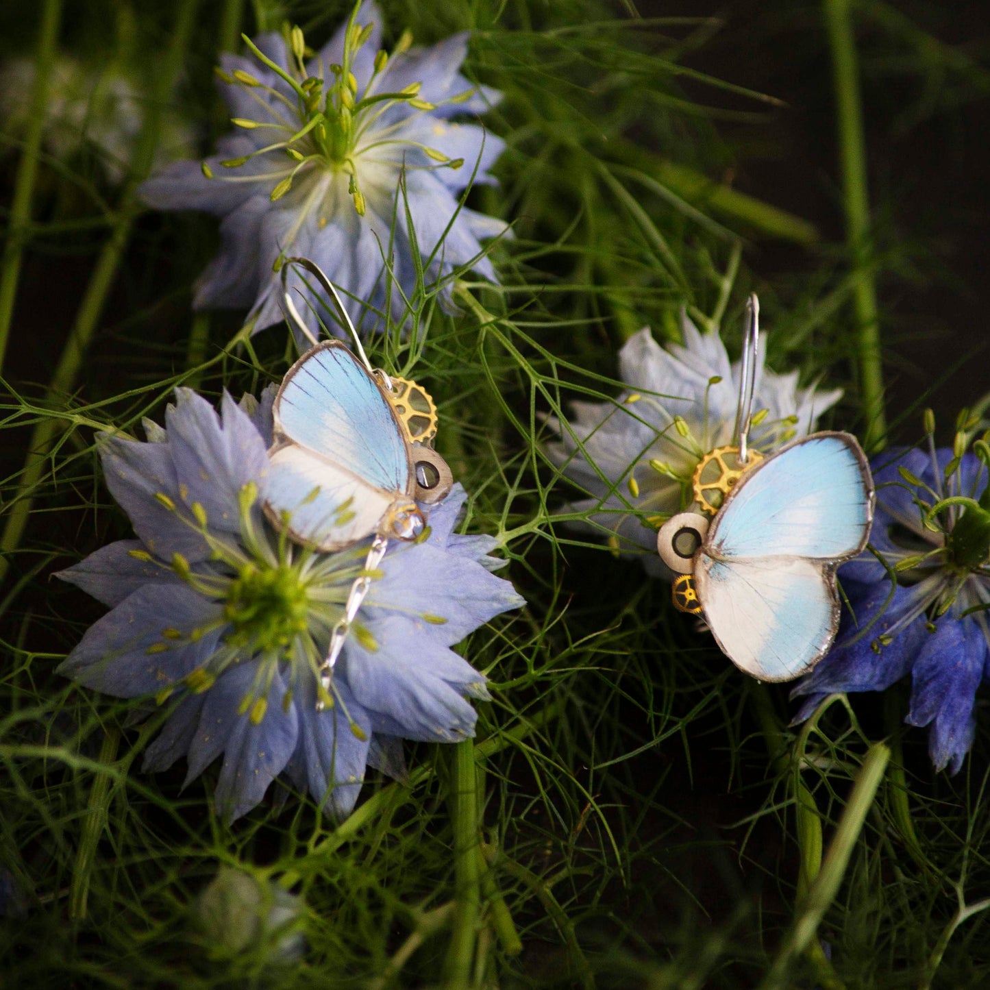 Boucles d'oreille Aponi papillon Jamides Euchylas bleu ciel – engrenage horlogerie Art Nouveau | Victorian Rehab