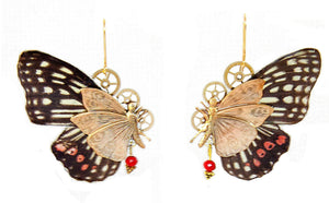 "Chrysalis" earrings - Hestina Assimilis