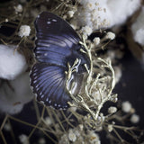 broche veritable aile de papillon bleu