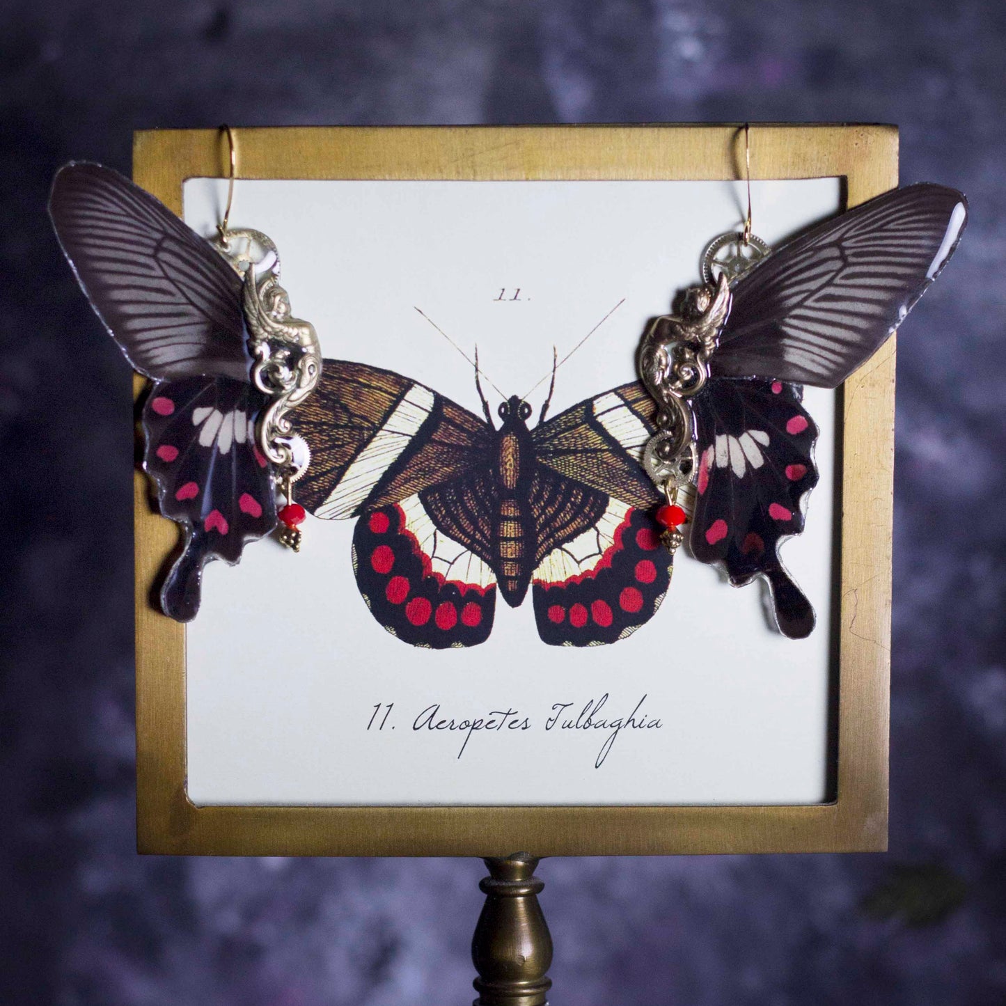 Boucles d'oreille Sphynx papillon Pachliopta Aristolochiae noir blanc rouge – engrenage doré | Victorian Rehab