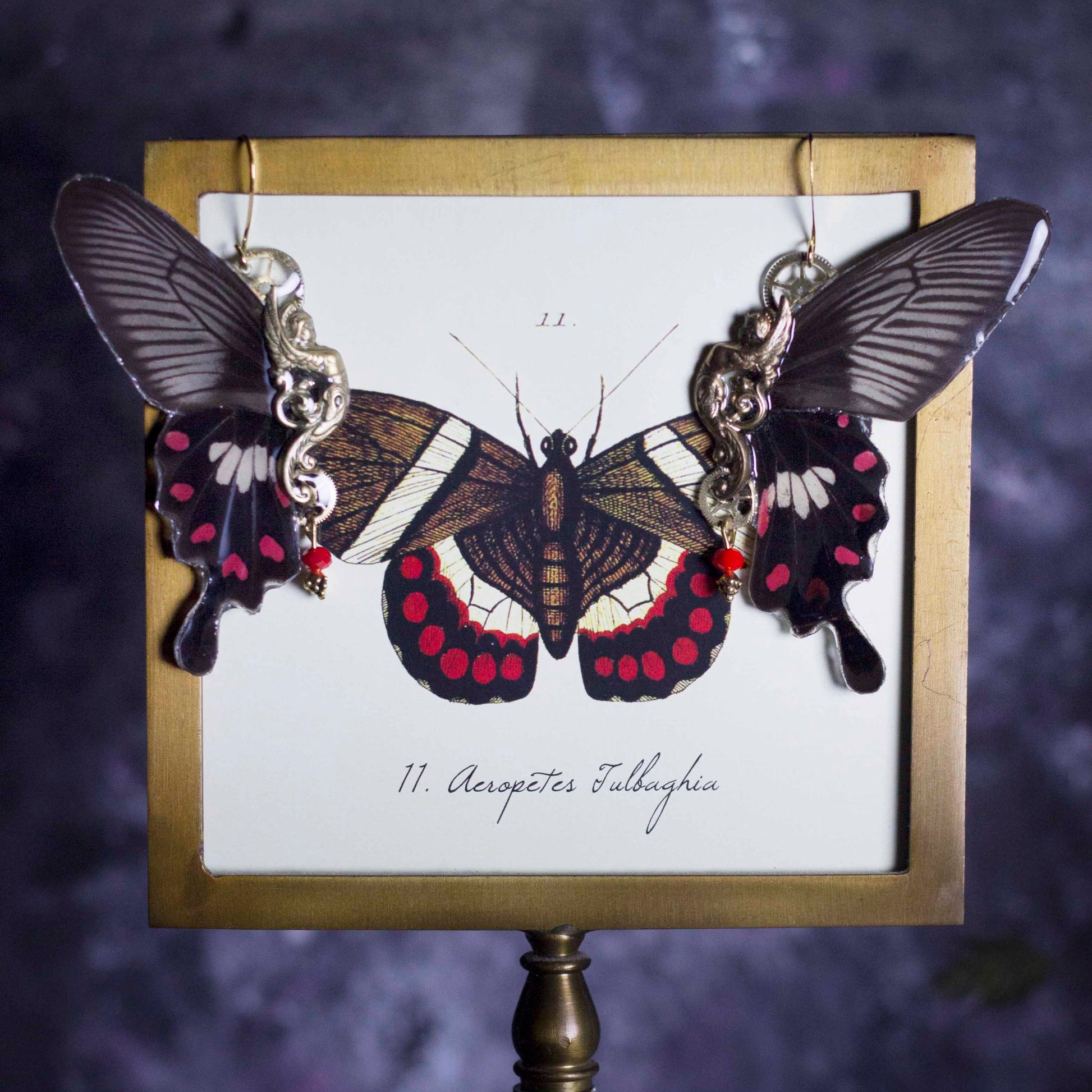Boucles d'oreille Sphynx papillon Pachliopta Aristolochiae noir blanc rouge – engrenage doré | Victorian Rehab