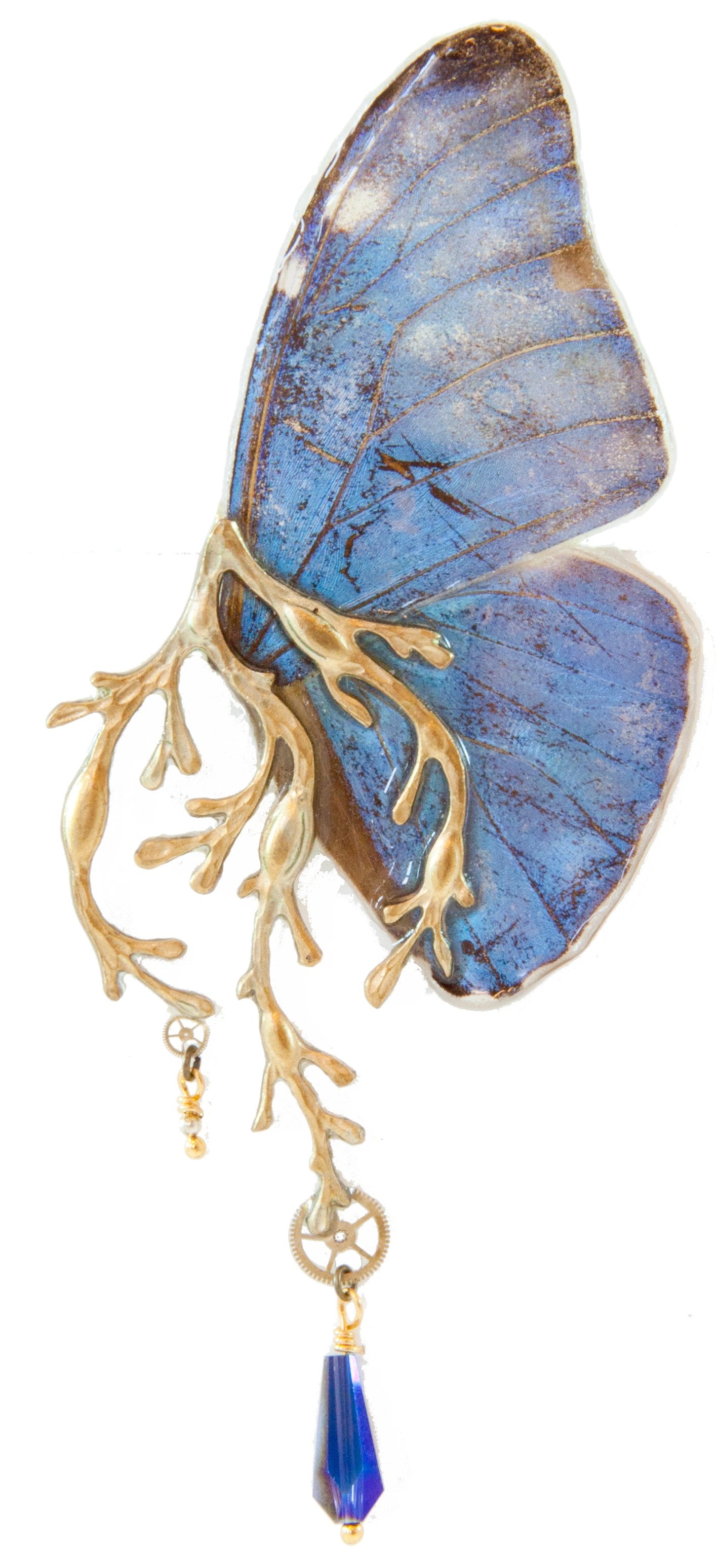 Broche Thétis Morpho version argentée – bijou cabinet de curiosités Victorian Rehab
