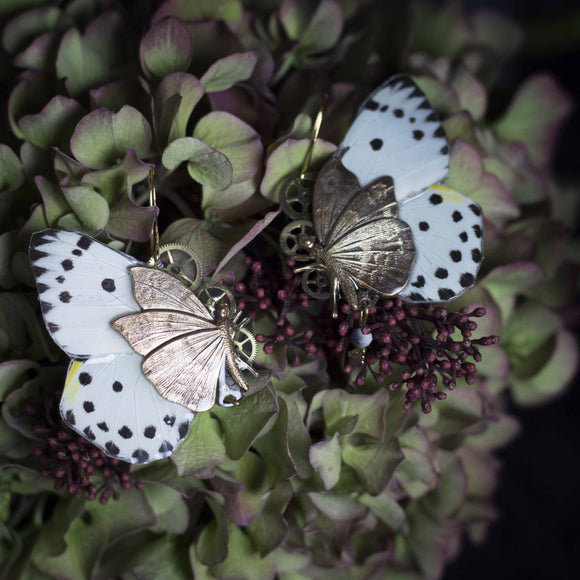 Boucles d'oreille veritables ailes de papillon. Bijoux féérique steampunk style art nouveau