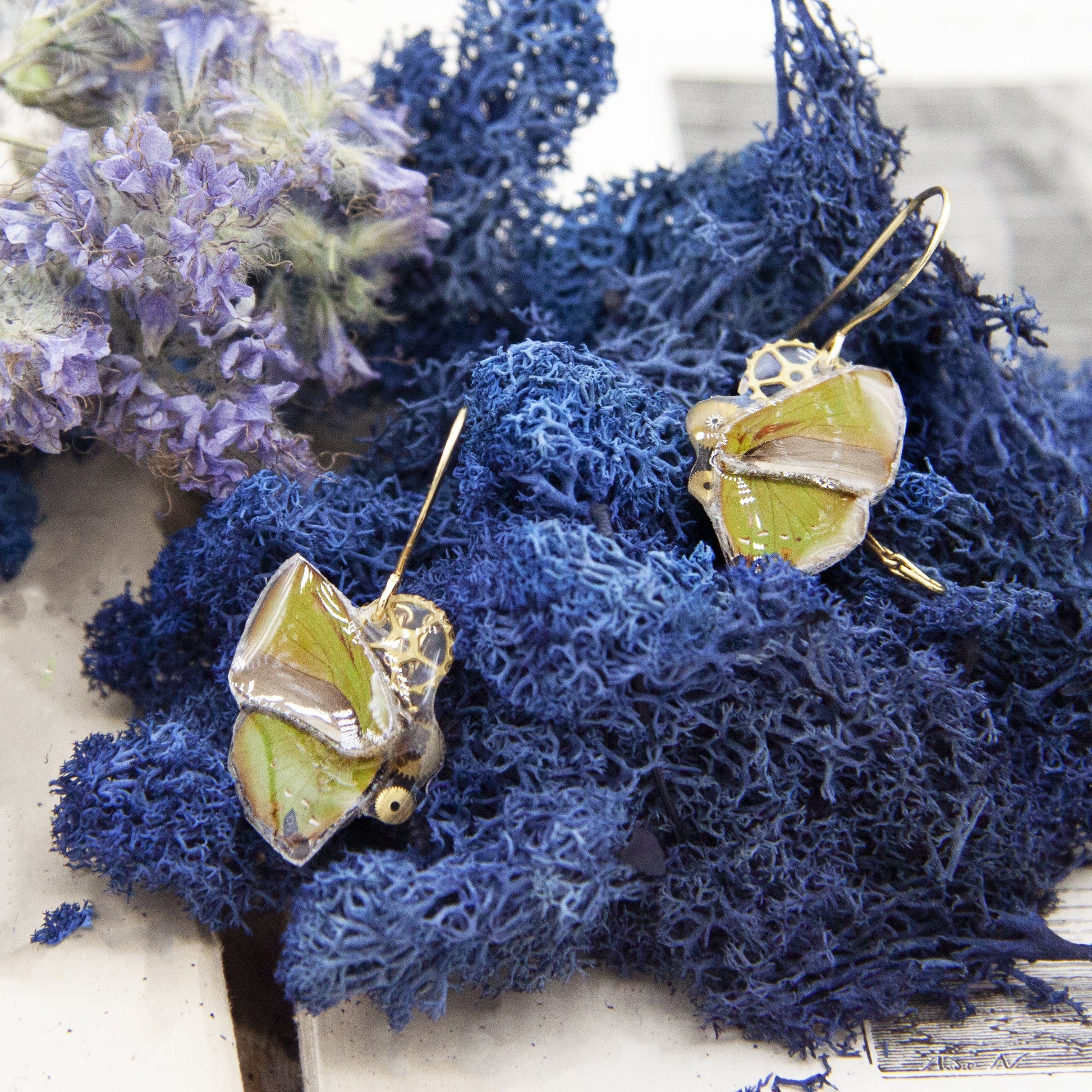 Boucles d'oreille Aponi papillon Cyanophrys Herodotus vert tilleul – monture dorée Victorian Rehab