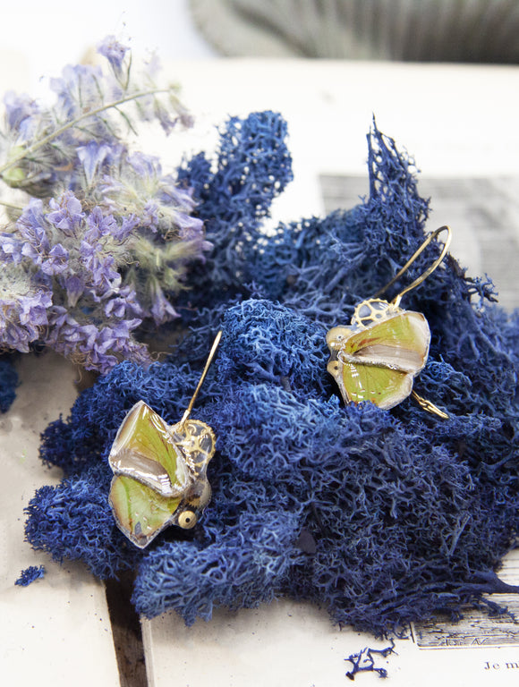 Boucles d'oreille 