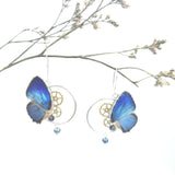 boucle papillon veritable victorian rehab bijoux de curiosite bijoux pezenas papillon