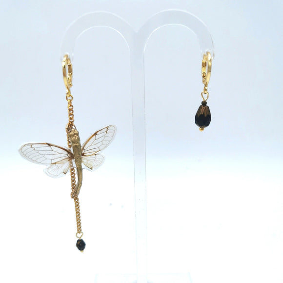 bijoux de curiosite par victorian rehab artian a pezenas avec de veritable ailes de cigale