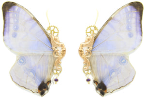 "Sphynx" earrings - Morpho Sulkowskyi (Holographic)