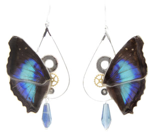 boucle doreille veritable aile de papillon bleu