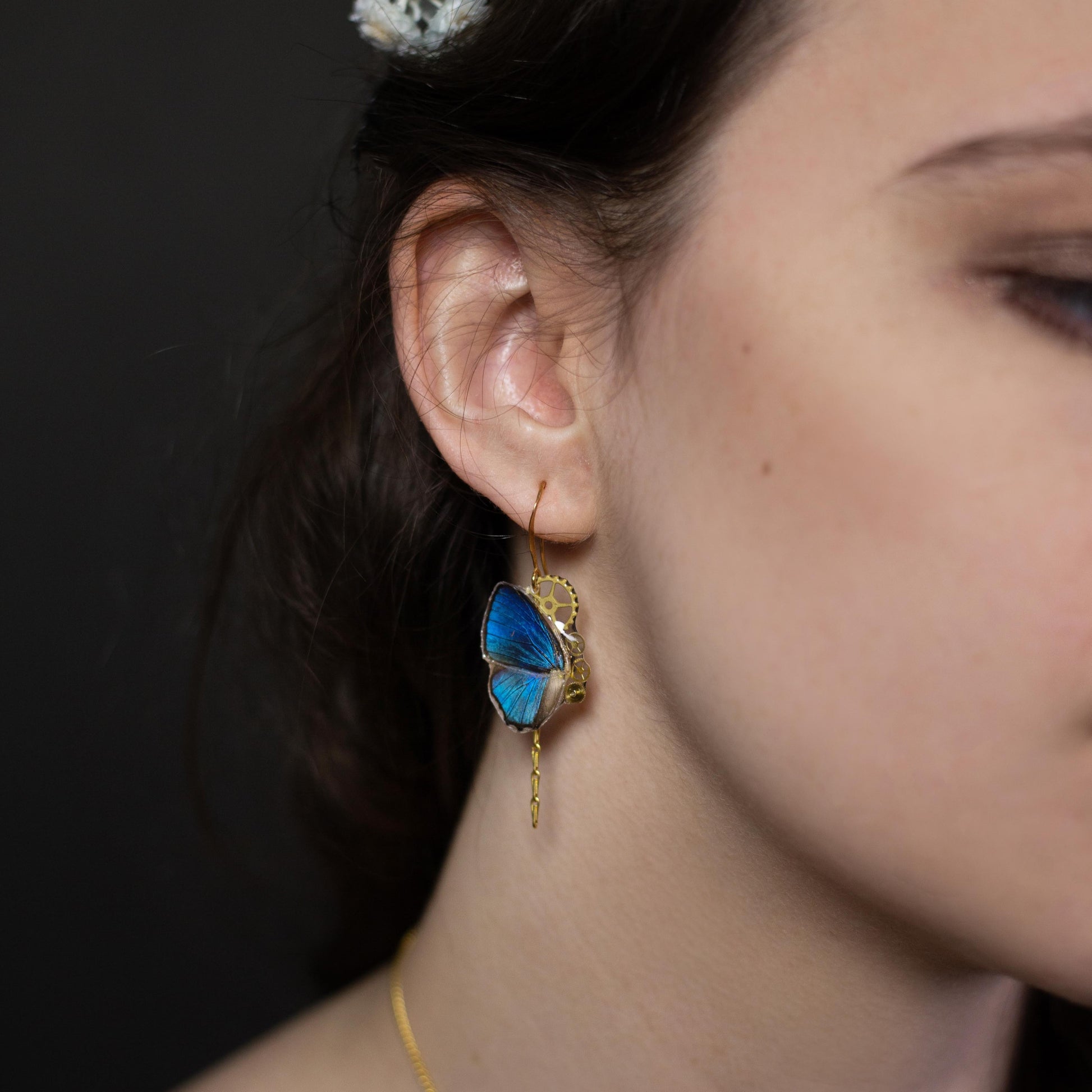 Boucles d'oreille Aponi papillon Hypocrysops bleu roi – engrenage horlogerie Art Nouveau | Victorian Rehab