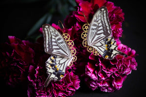 "Pandora" earrings - Xuthus