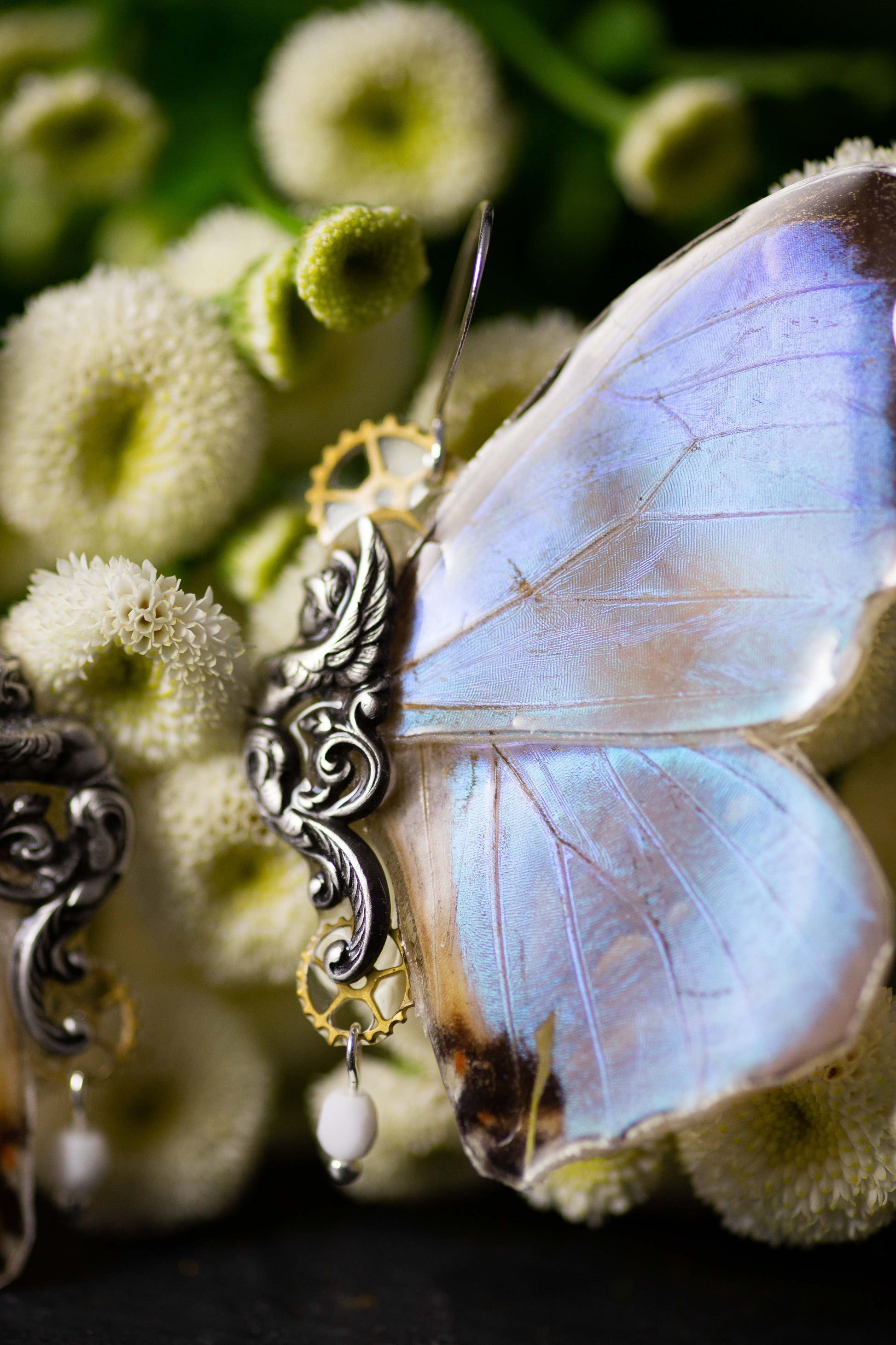 Détail boucles Sphynx Morpho Sulkowskyi – reflets holographiques aile papillon rare fait main Hérault