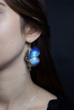 Sphynx Arhopala earrings