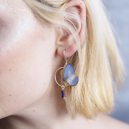 Boucles d'oreille Zéphyr papillon Jamides bleu ciel blanc nacré – Art Nouveau | Victorian Rehab
