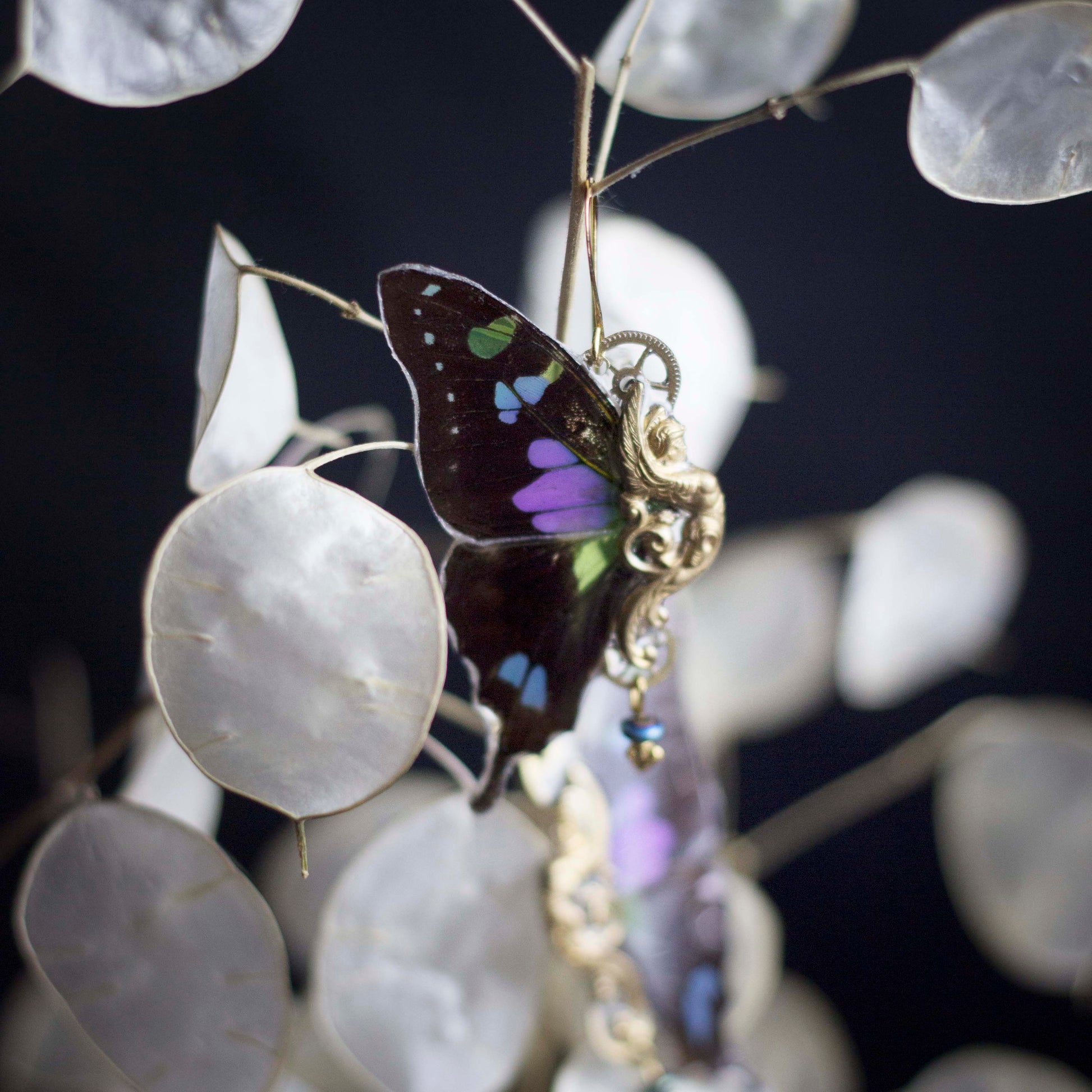 Boucles d'oreille Sphynx papillon Graphium Weskei noir bleu violet iridescent – doré | Victorian Rehab