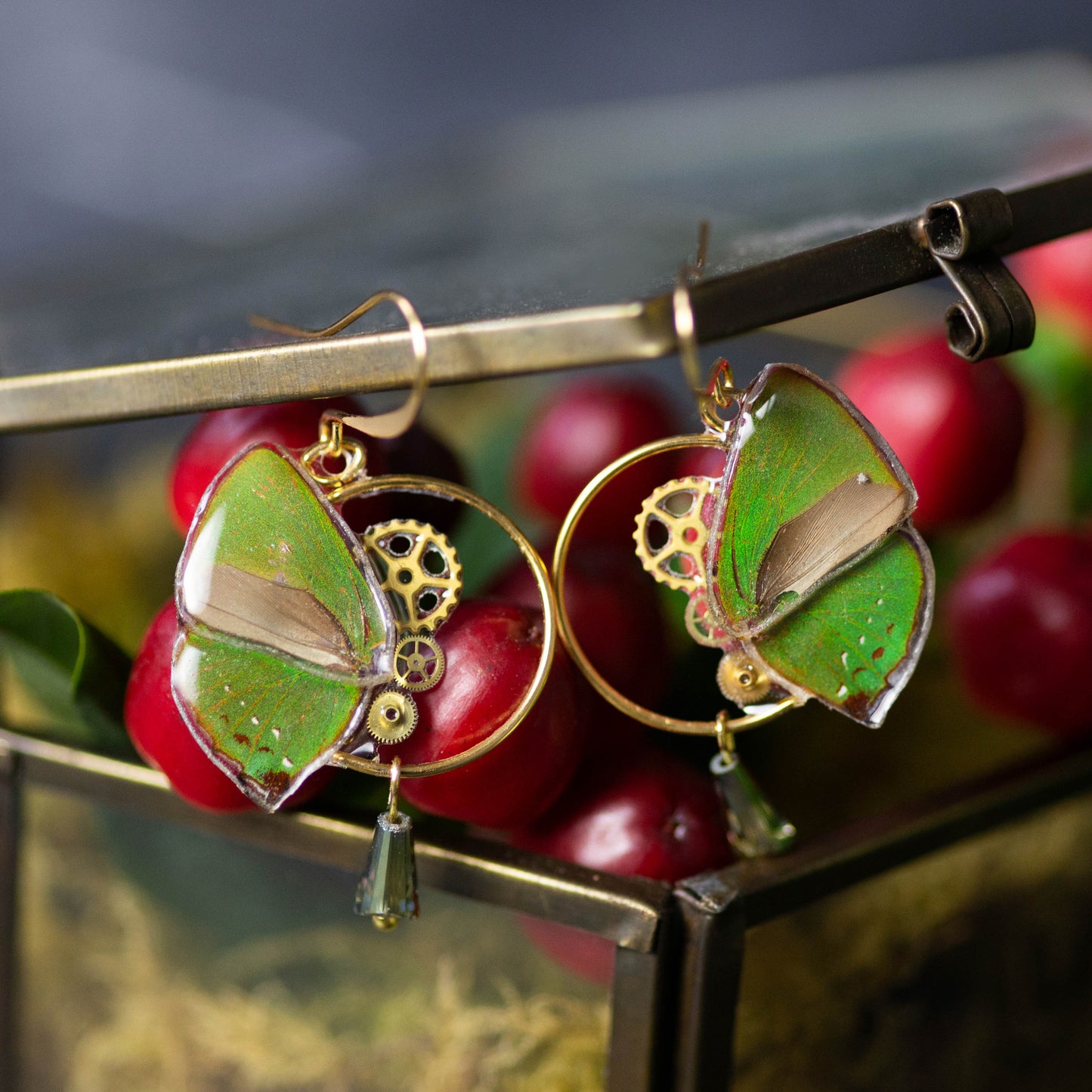 Boucles d'oreille Zéphyr papillon Cyanophris Herodotus vert tilleul – engrenage horlogerie Art Nouveau | Victorian Rehab